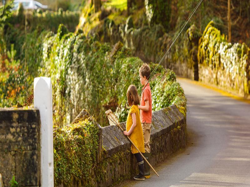 Ballynahinch Castle Hotel Ngoại thất bức ảnh