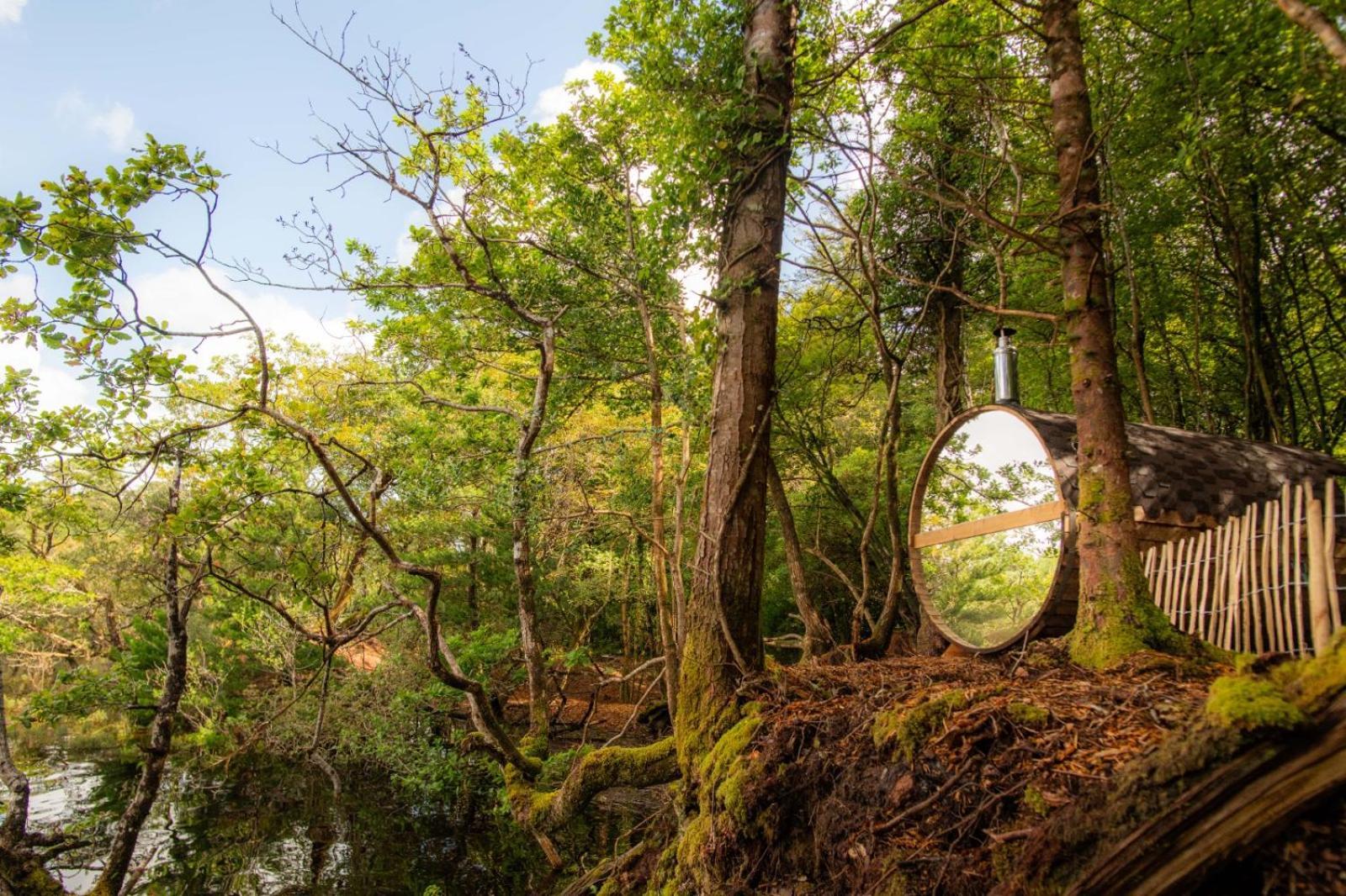Ballynahinch Castle Hotel Ngoại thất bức ảnh